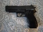 20250712_SIG_P220R_E2grip_ls.jpg
